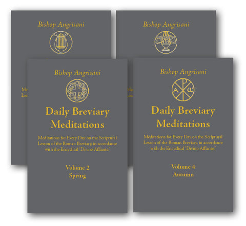Daily Breviary Meditations - 4 volume set