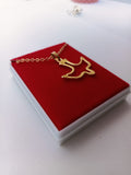 Confirmation Gift - Holy Spirit Necklace